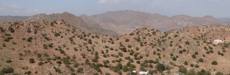 Le Coran des lumières. L'histoire, les concepts, le divin et le Prophète