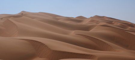 Le Coran : de la Tribu à l'Empire. Autour de l'oeuvre de Jacqueline (...)