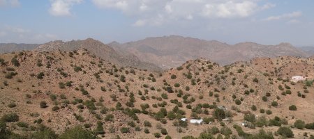 Le Coran des lumières. L'histoire, les concepts, le divin et le Prophète